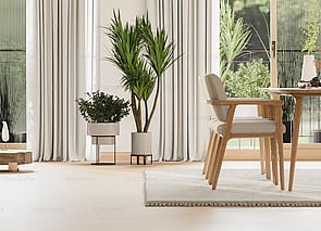 house sale preparation