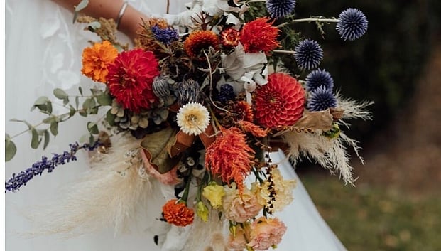 traceyclaire photography