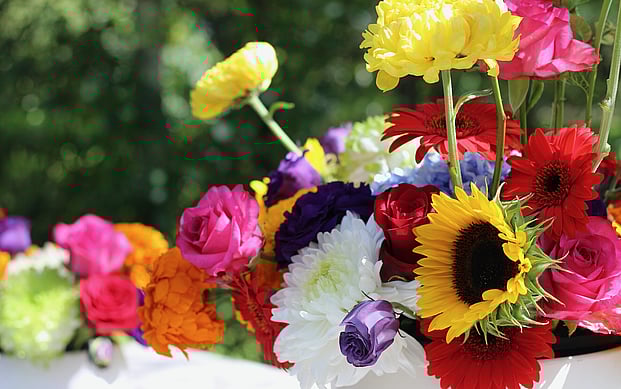 Bright blooms wedding bouquet by Raglan Florist Wild About Eve