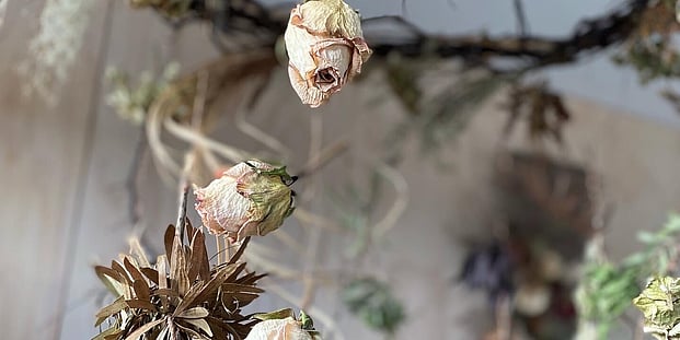 events, balls & memorials