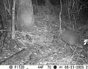 Matarangi Beach Paper Article - March 2026