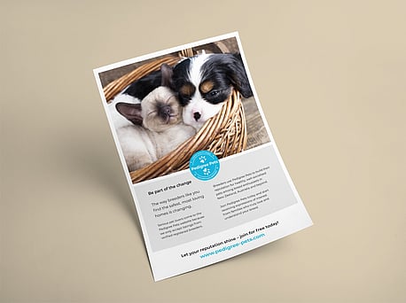 Advertorial for Pedigree Pets, NZ