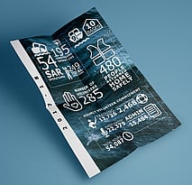 Infographic Design &ndash; Designerbloom Graphic Design &ndash; Wellington, New Zealand