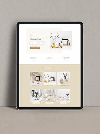 online shop website design Wellington | Sara-Jane Austen