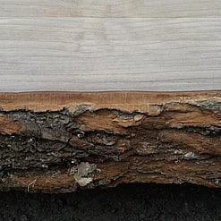 Rarefind Timber - Slabs and Tops Dressed