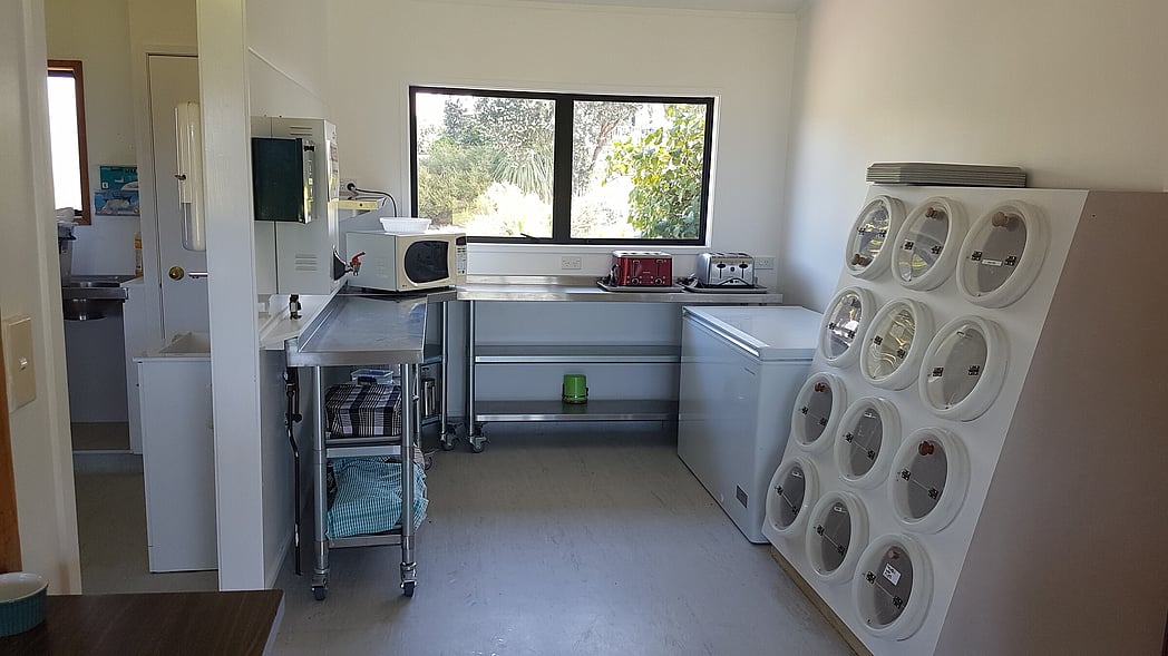 Servery & tea & coffee facilities