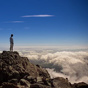 Book Your FREE Discovery Session with Rosemary - BOOK NOW