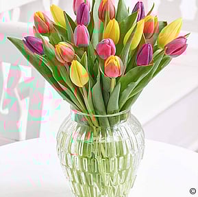 Tulip Delight Vase - &pound;30