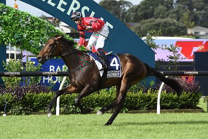 Gr.1 New Zealand Derby (2400m) winner Willydoit is returning to New Zealand. Photo: Megan Liefting (Race Images)