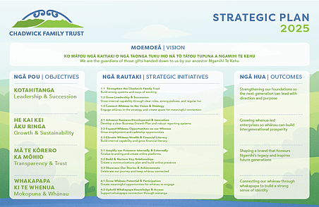 Chadwick Family Trust Strategic Plan 2025 layout showing vision, objectives, strategic initiatives and outcomes in green and blue panels