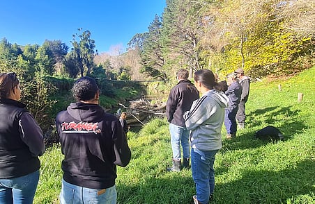 Group of people standing on grassy riverbank looking at stream and trees during outdoor site visit or field workshop
