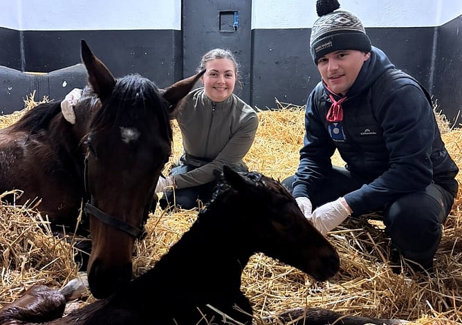 Keith & Faith Taylor Equine Scholarship recipient Joe Moore gives an update on her time at the Irish National Stud.