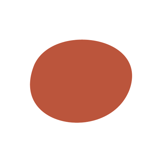 Kainga Aroha budgeting