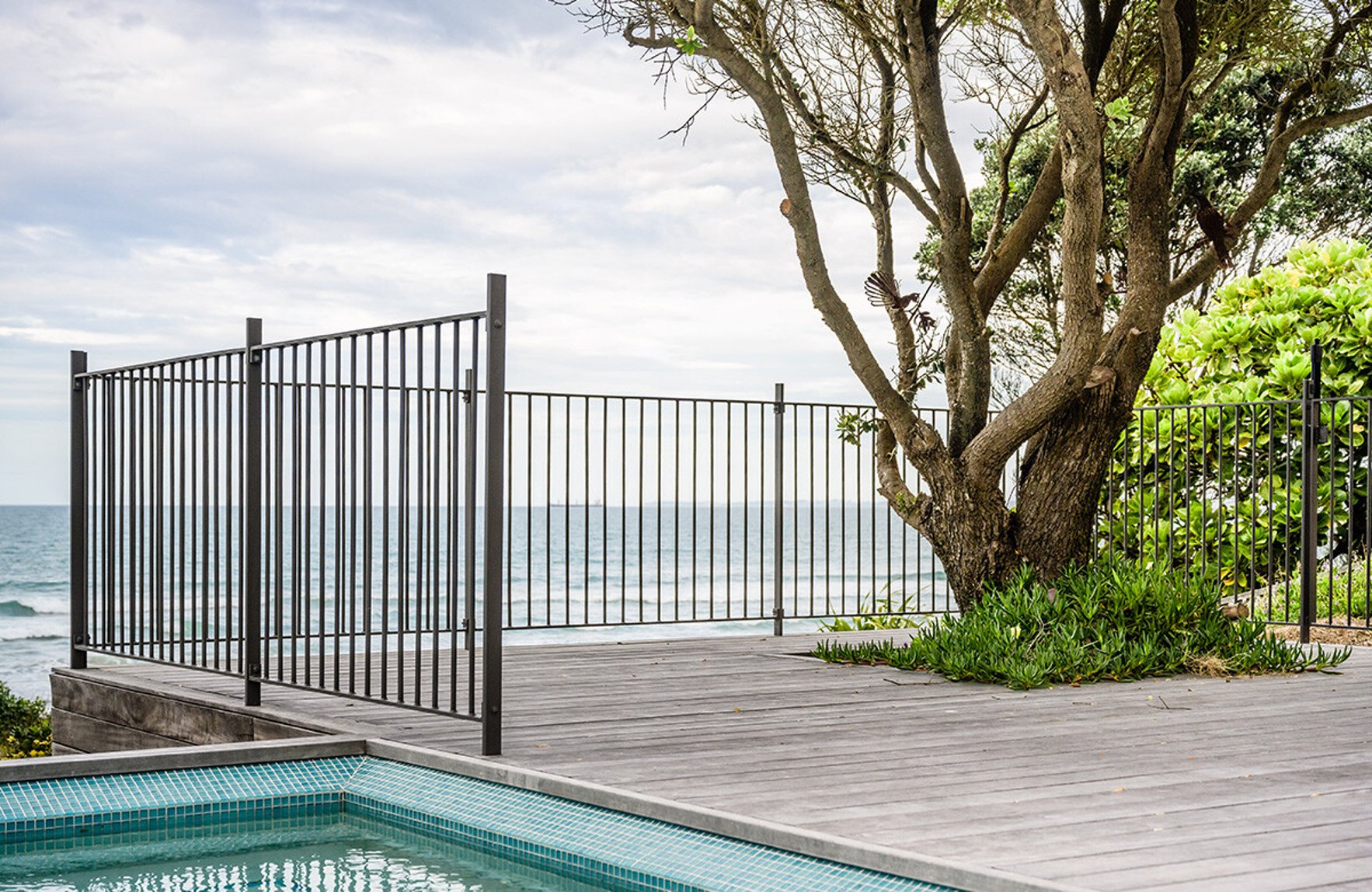 purple heart decking timber