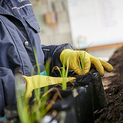 Hodderville Plant Nursery for all your gardening needs