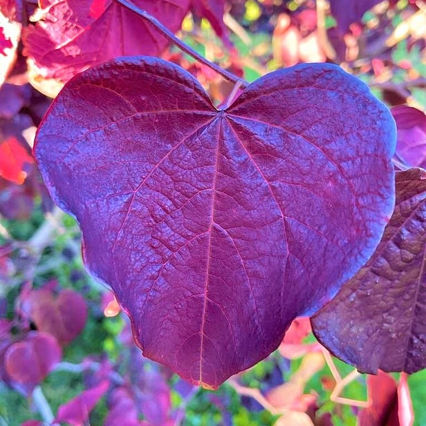 Beautiful wedding venue in Kapiti, Palmerston North, Wellington, Otaki, Levin, Paraparaumu, Paekakariki, Raumati, Te Horo, Peka Peka