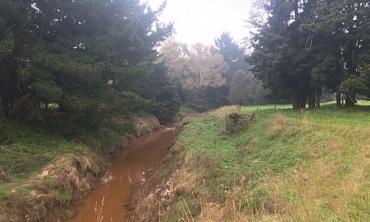 Stream Contamination Assessment