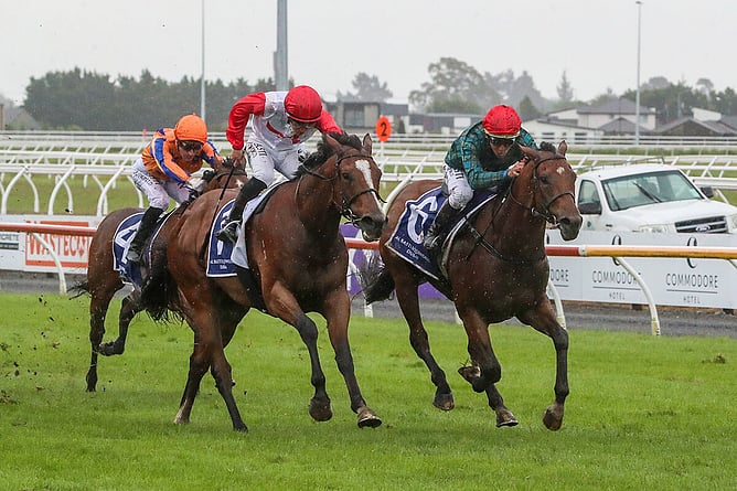 Romanoff (inside) and Affirmative Action going head-to-head in last November's Gr.1 New Zealand 2000 Guineas (1600m) at Riccarton. - Photo: Race Images South