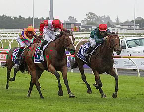 Gerard to launch two-pronged attack at NZB Kiwi