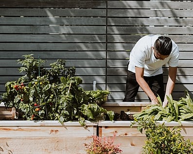 man working in community garden with biochar