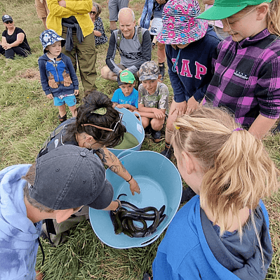 Whareama catchment group children looking at eels in a bucket