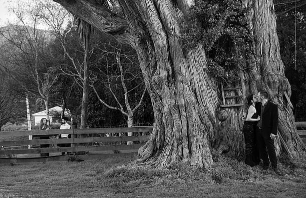 candid wedding photography