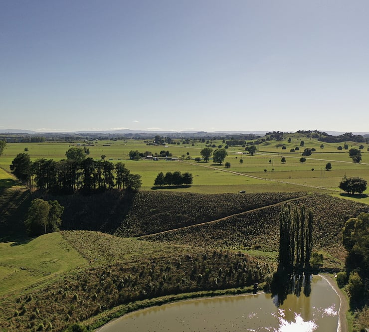 riparian planting in waterway system, Arapuni, Waikato