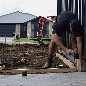landscaping with native plants, Cambridge, Waikato