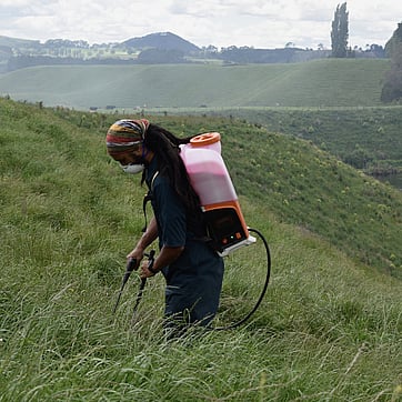 weed spraying and spot spraying, Arapuni, Waikato