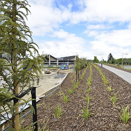 commercial landscaping in Waikato