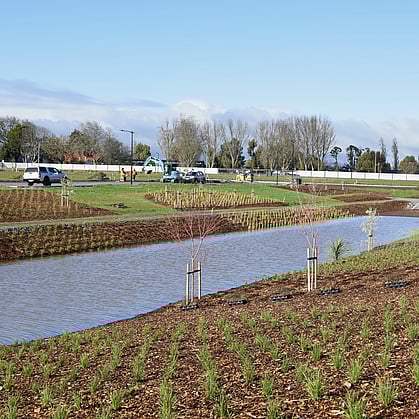 civil native planting in residential development, Cambridge