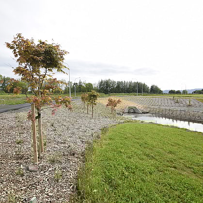 residential landscaping in Cambridge, Waikato