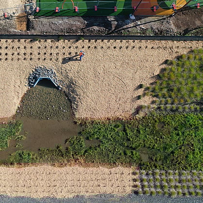 custom residential landscaping in Cambridge, Waikato