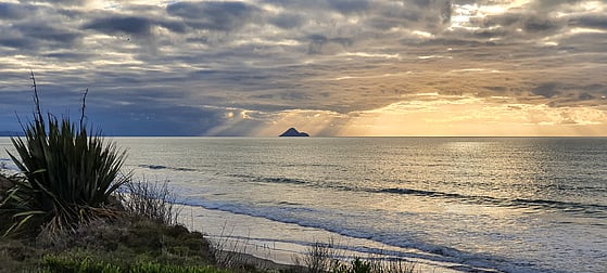 New Zealand sunrise | Opotiki