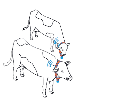 AfiCollar Waikato - Ace Electrical