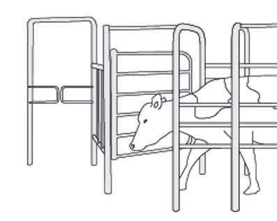 AfiAutomation Waikato - Ace Electrical