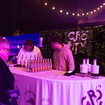 Christchurch Festival Curiosity Gin Cocktails