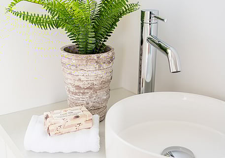 close up of a plant pot next to bathroom sink