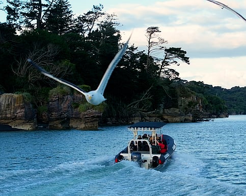 Waka Huia, Wharf Kitchen, Raglan adventure