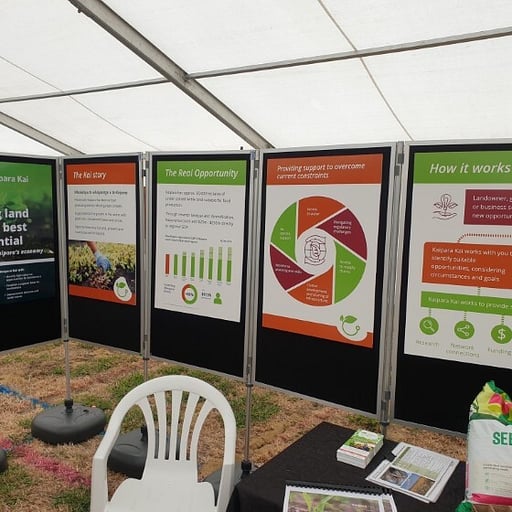 Event display design