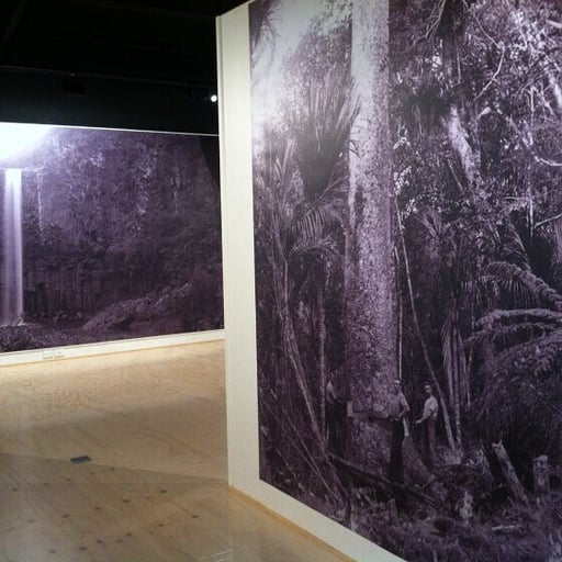 Large format print enlargements