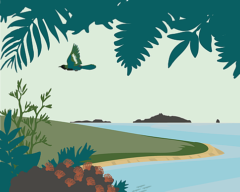 Illustration and Graphic Design