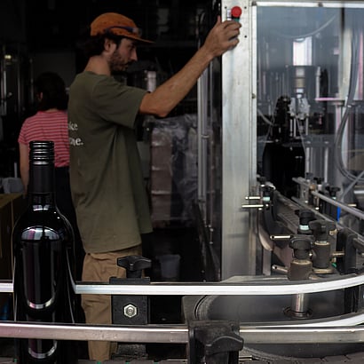bottling wines at Batch Winery, Waiheke Island