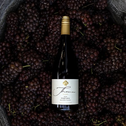 bottling wines at Batch Winery, Waiheke Island