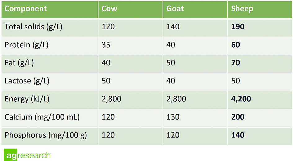sheep milk health benefits table