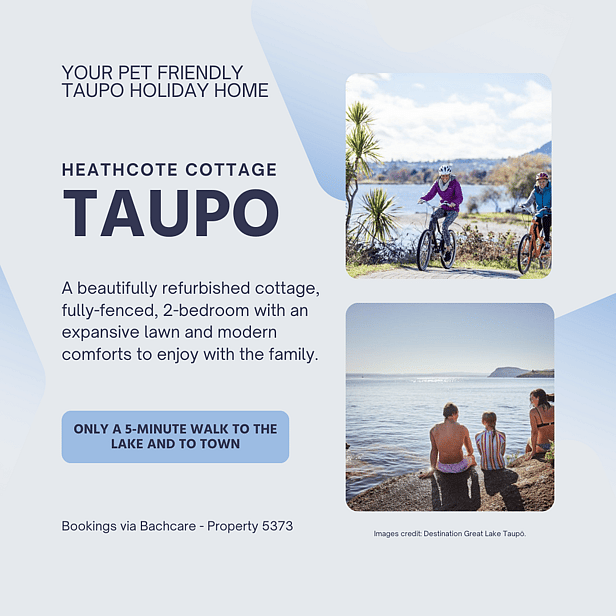 B&B social media content concept