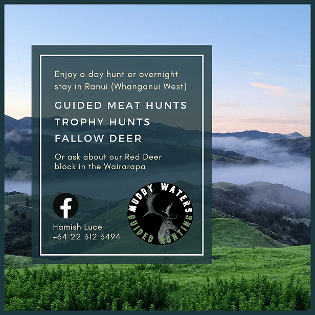 Muddy Waters Social Media Content