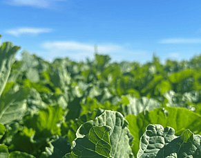 HubWatch &ndash; 6 March 2026