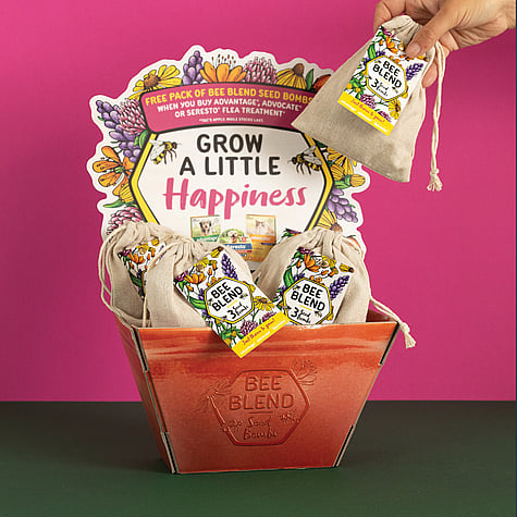A colourful Point of Sale counter display in the shape of a bucket, with packets of seed bombs and a hand taking one out.