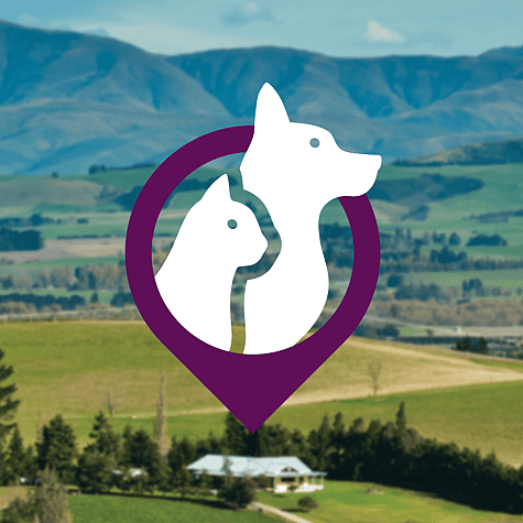 White cat and dog vector graphic inset a purple location icon, over a rural backdrop.